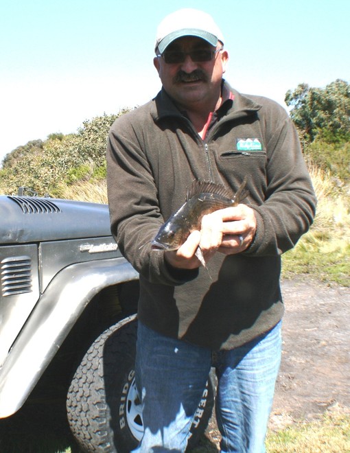 Small bream will eat anything as do the larger ones. © Carl Hyland